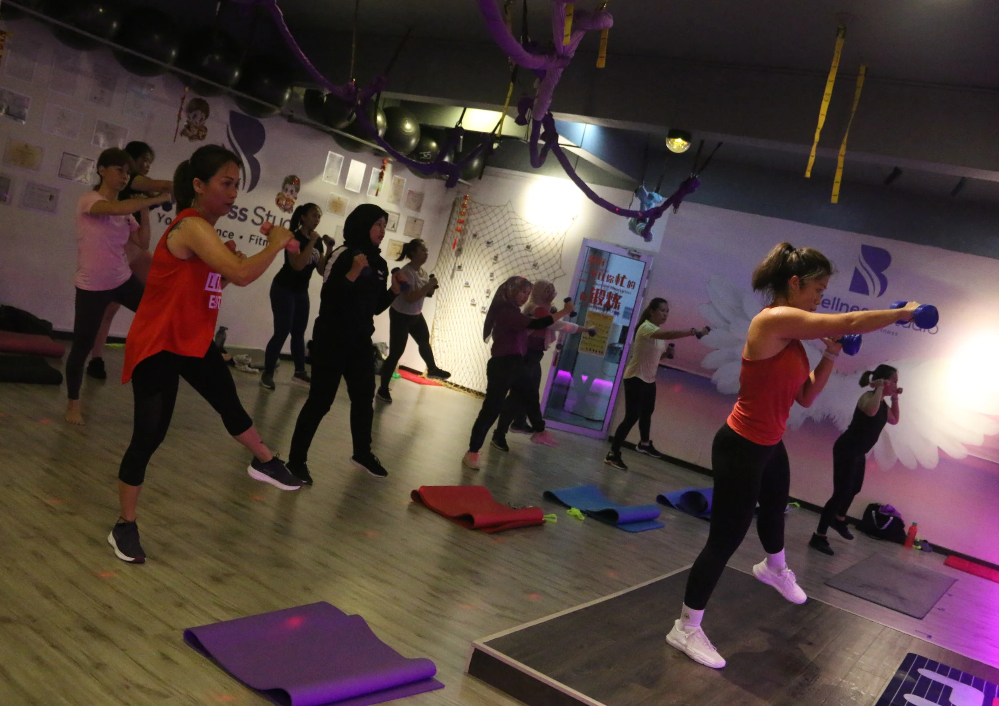 Wellness 5